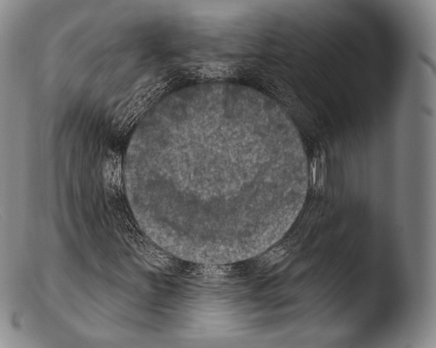 X0000103951251200810311541
