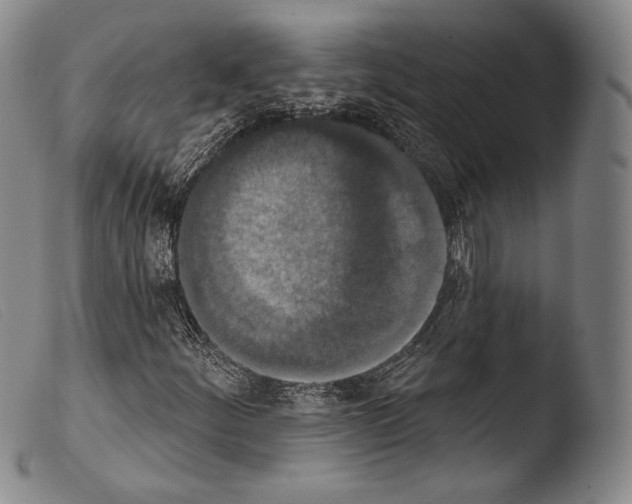 X0000103951252200810311541