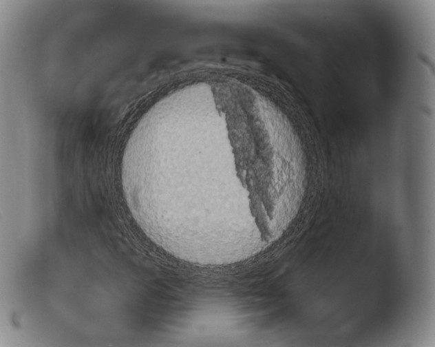 X0000103951253200810311541