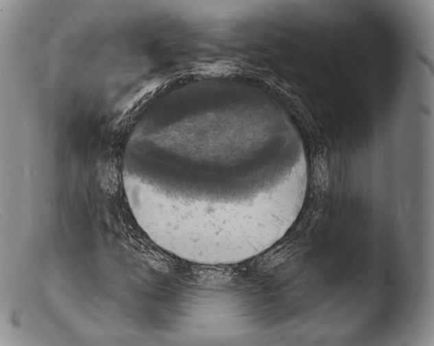 X0000103951254200810311541