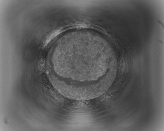 X0000103951255200810311541