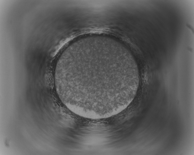 X0000103951256200810311541