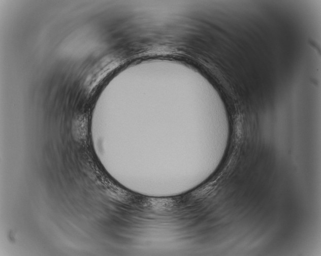 X0000103951258200810311541