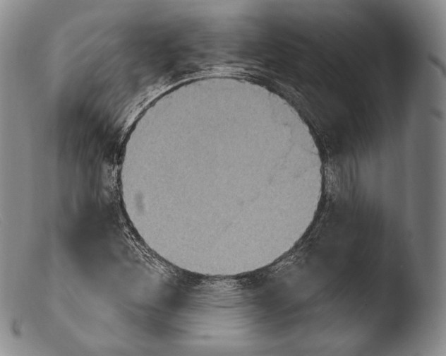X0000103951260200810311541