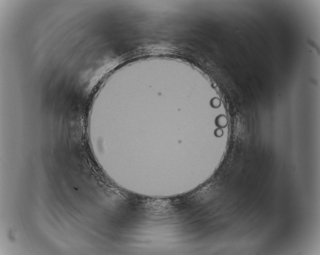 X0000103951261200810311541