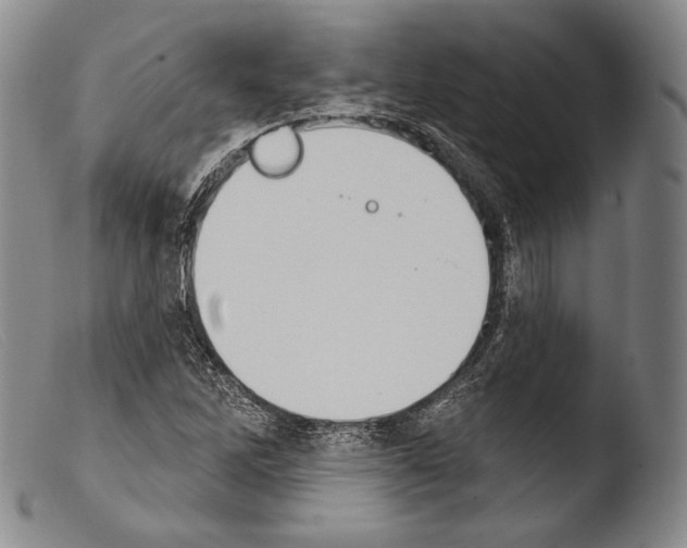 X0000103951262200810311541