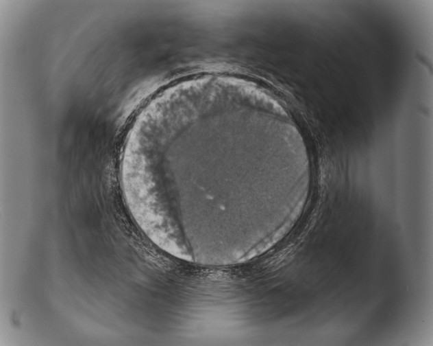 X0000103951263200810311541