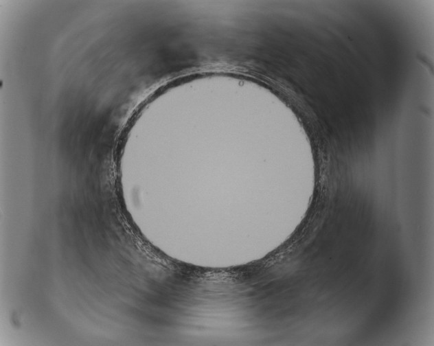 X0000103951264200810311541