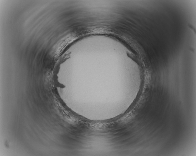 X0000103951265200810311541