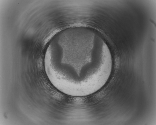 X0000103951266200810311541