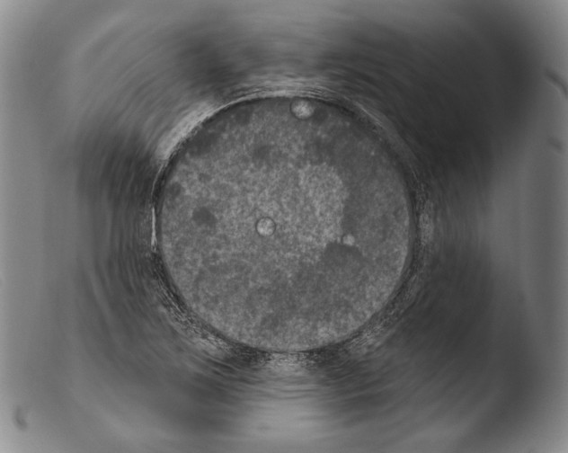 X0000103951267200810311540