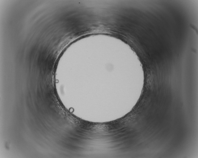 X0000103951268200810311540