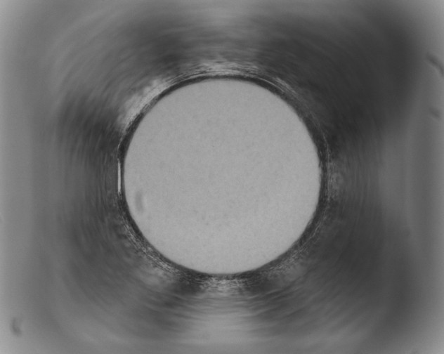X0000103951269200810311540