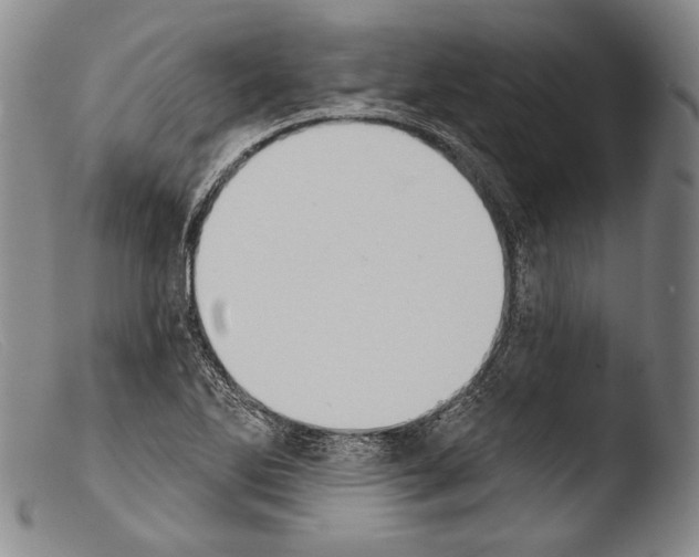 X0000103951270200810311540