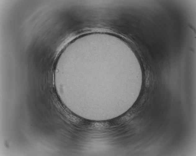 X0000103951271200810311540
