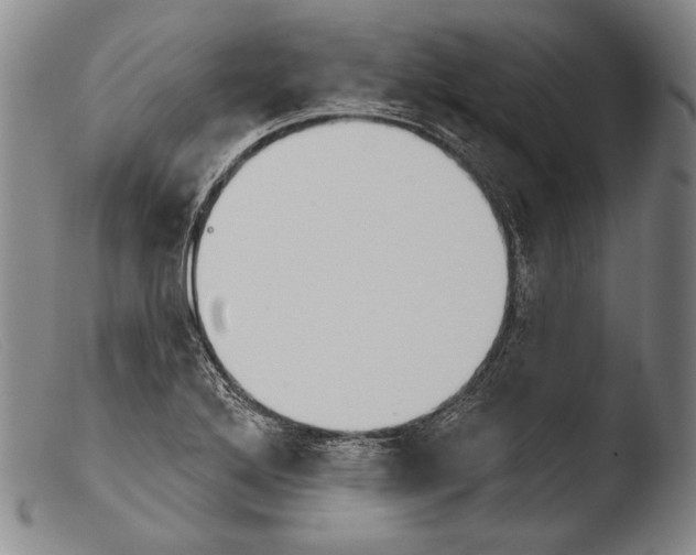 X0000103951272200810311540