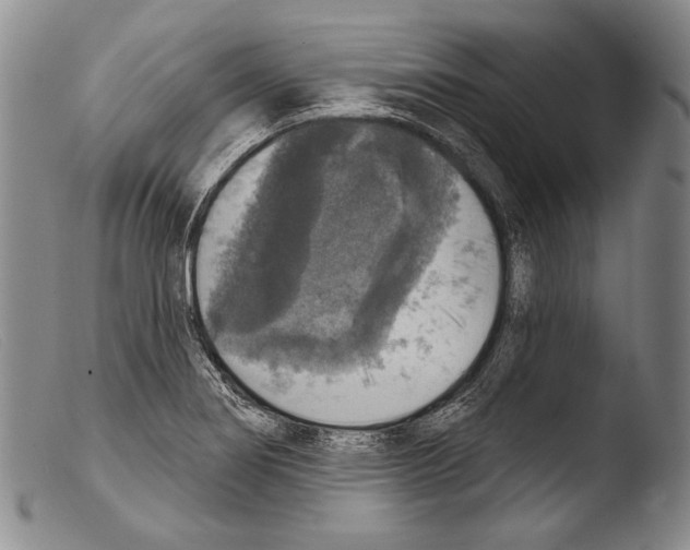 X0000103951274200810311540