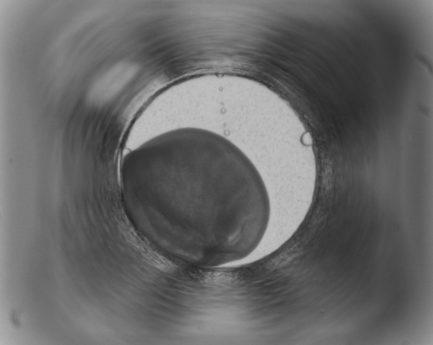 X0000103951275200810311540