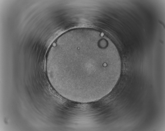 X0000103951276200810311540