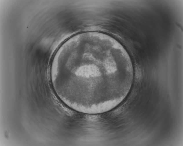 X0000103951278200810311540