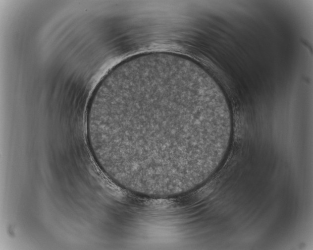 X0000103951280200810311540