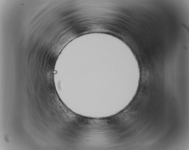 X0000103951281200810311540
