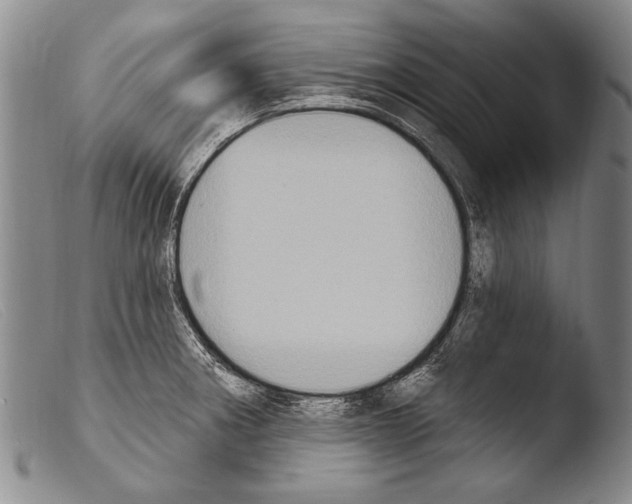 X0000103951282200810311540