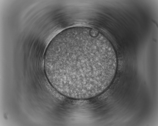 X0000103951284200810311540