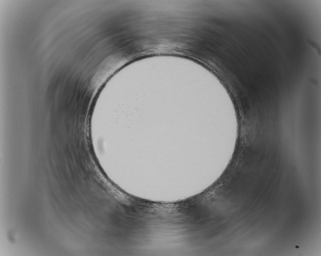 X0000103951285200810311540