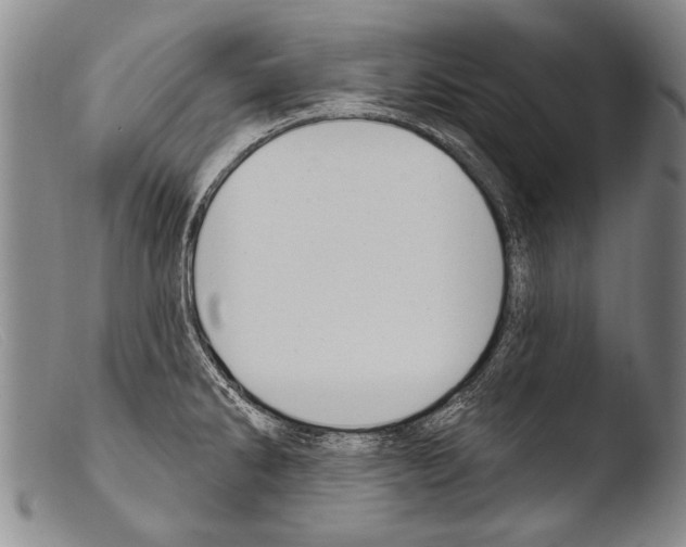 X0000103951286200810311540