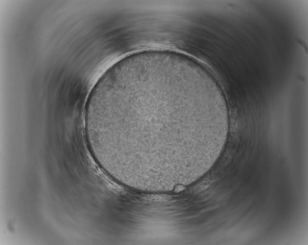 X0000103951287200810311540