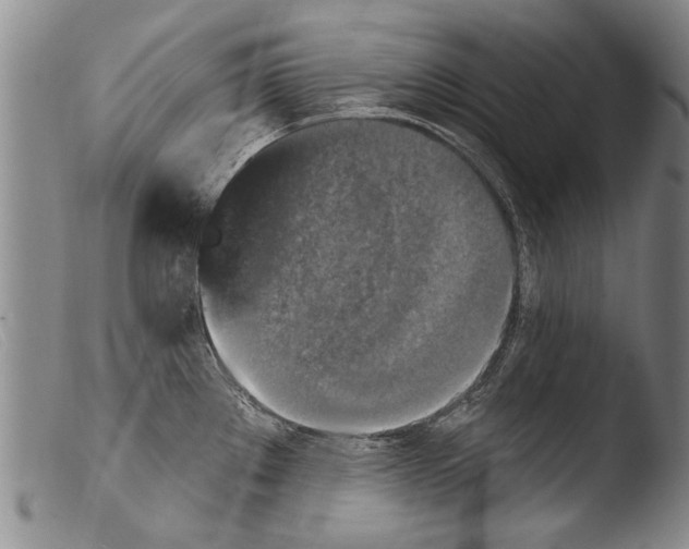 X0000103951289200810311540