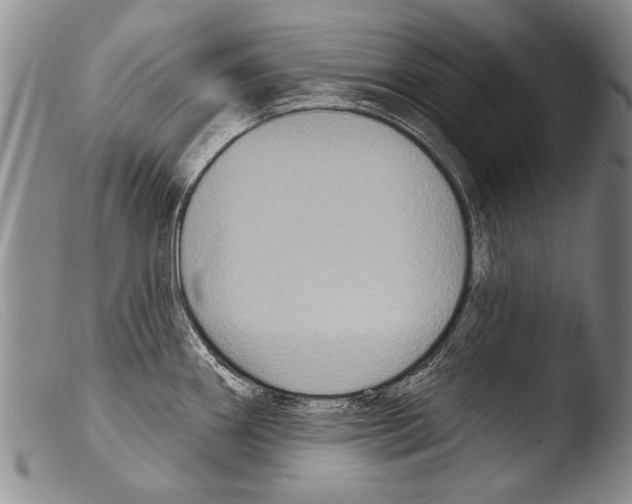 X0000103951290200810311540