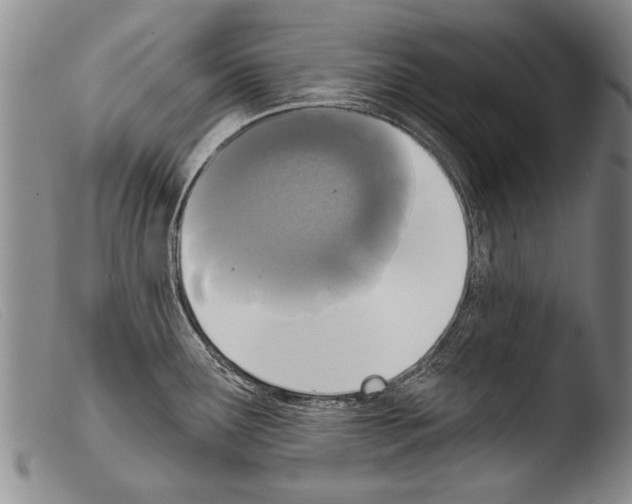 X0000103951291200810311540