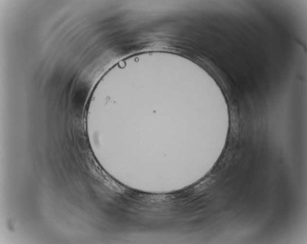 X0000103951292200810311540