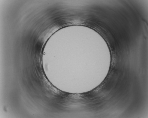 X0000103951293200810311540