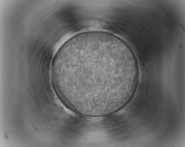 X0000103951294200810311540