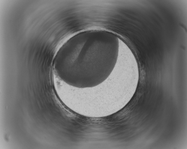 X0000103951295200810311540