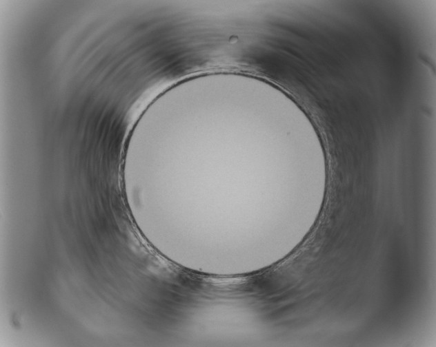 X0000103951296200810311540