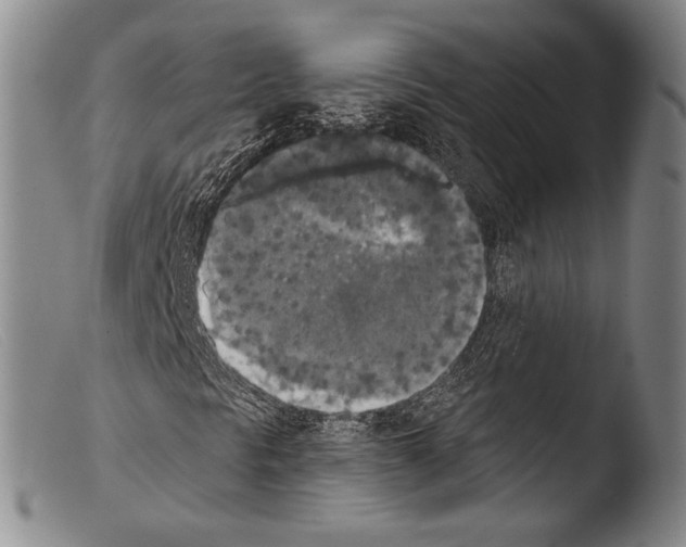 X0000103951297200810311539