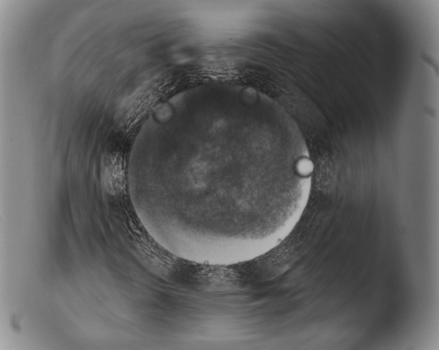 X0000103951298200810311539
