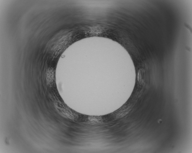 X0000103951299200810311539