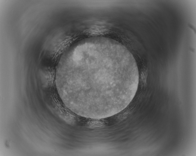 X0000103951300200810311539