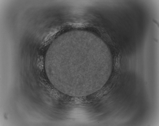 X0000103951301200810311539