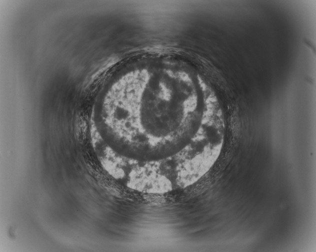 X0000103951302200810311540