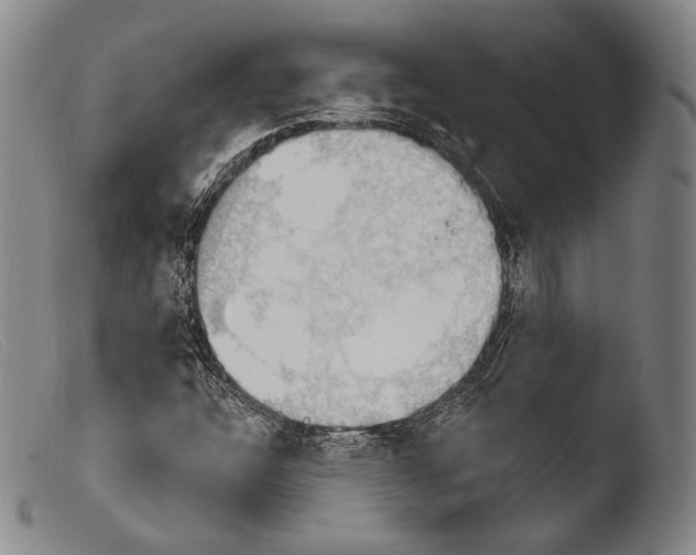 X0000103951304200810311540