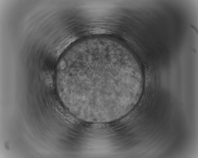 X0000103951305200810311540