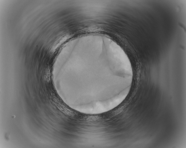 X0000103951306200810311540