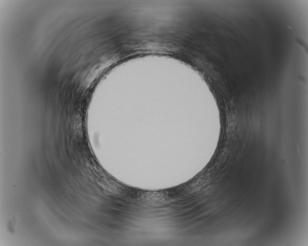 X0000103951307200810311540