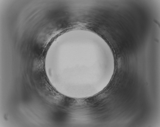 X0000103951308200810311540